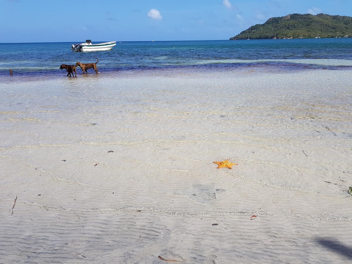 Posada Old Town Bay Providencia  Εξωτερικό φωτογραφία